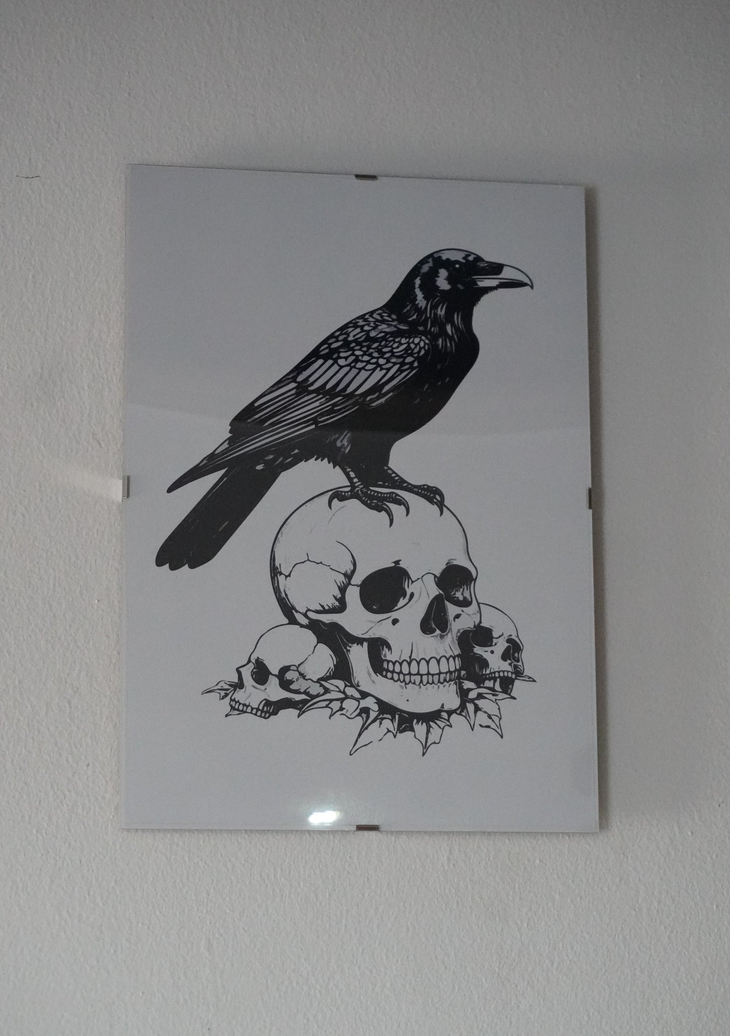 Raven on a skull poster