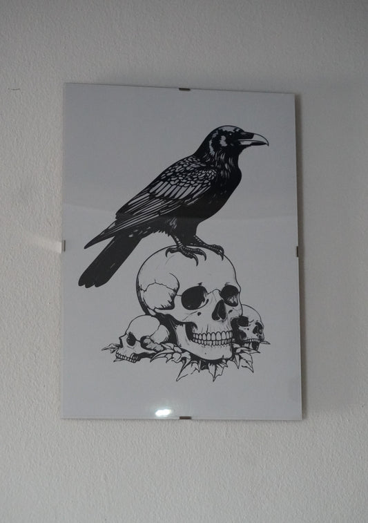 Raven on a skull poster