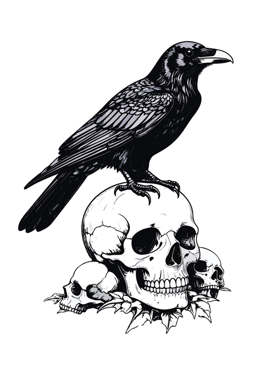 Raven on a skull poster